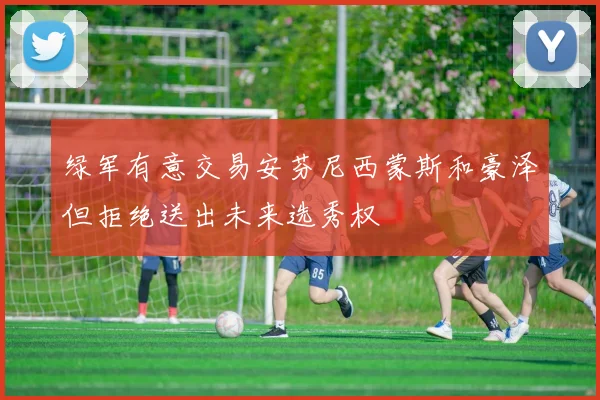 绿军有意交易安芬尼西蒙斯和豪泽但拒绝送出未来选秀权