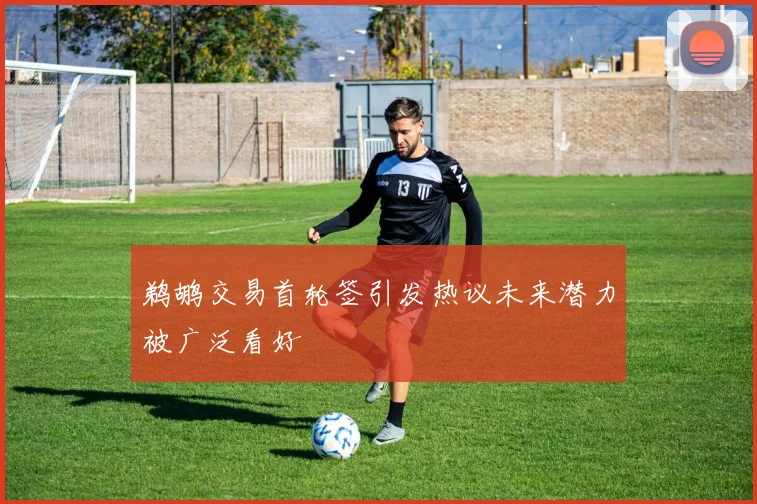 鹈鹕交易首轮签引发热议未来潜力被广泛看好