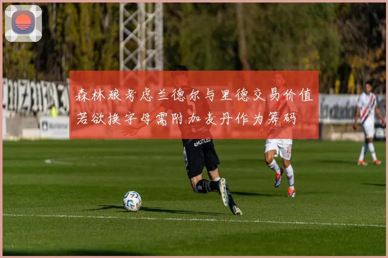 森林狼考虑兰德尔与里德交易价值若欲换字母需附加麦丹作为筹码